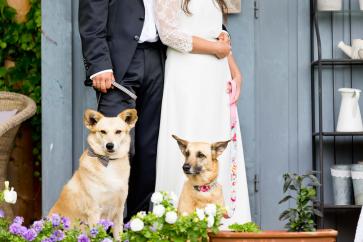 Hunde bei der Hochzeit Hochzeitsfotograf Träumerei Maria Bild Burgenland Hochzeitsfotos Thermenregion outdoor Hochzeit
