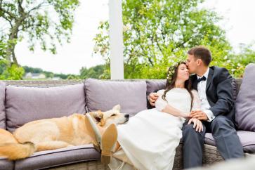 Hochzeit mit Hund Hochzeitsfotograf Träumerei Maria Bild Burgenland Hochzeitsfotos Thermenregion outdoor Hochzeit