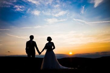 Hochzeitsfotograf Meierei Gaaden Niederösterreich Hochzeitsfotos Outdoorhochzeit Hochzeit im Grünen